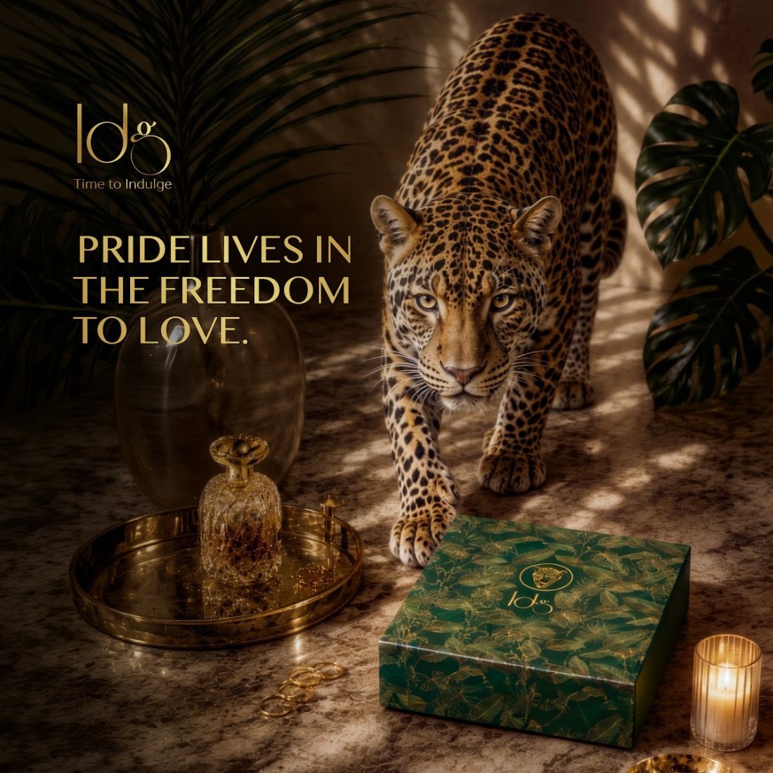 Pride lives in the freedom to love