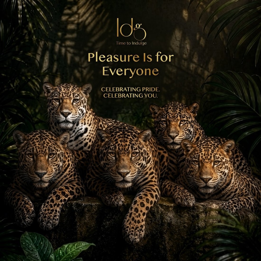 Pleasure is for everyone, celebrating Pride