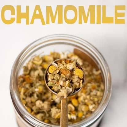 Chamomile