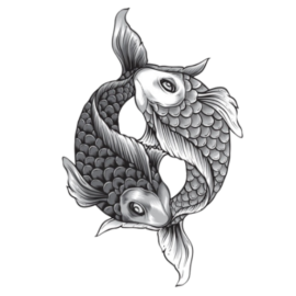Paperfish Sushi